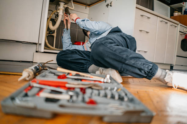 Best Toilet Repair Services  in Laurel Hill, NC