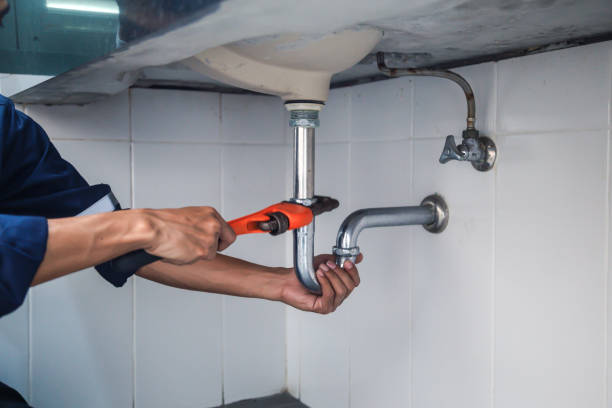 Best Local Plumber Services  in Laurel Hill, NC