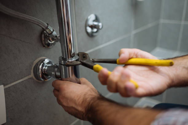Best Plumbing Inspection Services  in Laurel Hill, NC