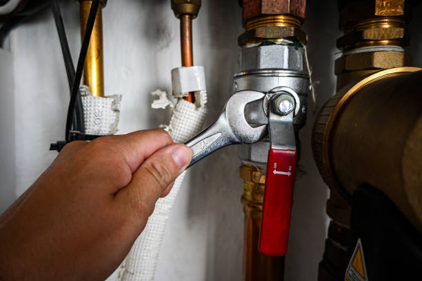 Best Affordable Plumbing Services  in Laurel Hill, NC